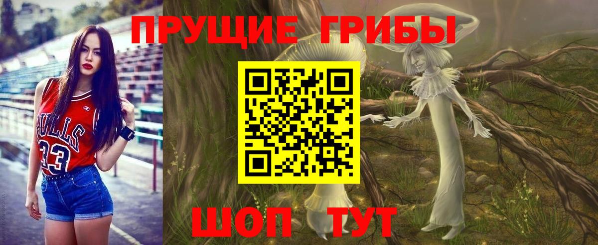 Псилоцибиновые грибы MAGIC MUSHROOMS  продажа наркотиков  Лыткарино  Вход с VPN  Галлюциногенные грибы Magic Shrooms 